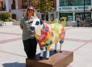 El Ayuntamiento de Colmenar Viejo lanza el proyecto ‘Pinta una churra’