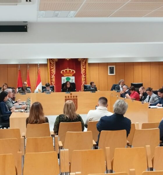 Acuerdos relevantes del Ayuntamiento Pleno de San Sebastián de los Reyes celebrado el 19 de diciembre