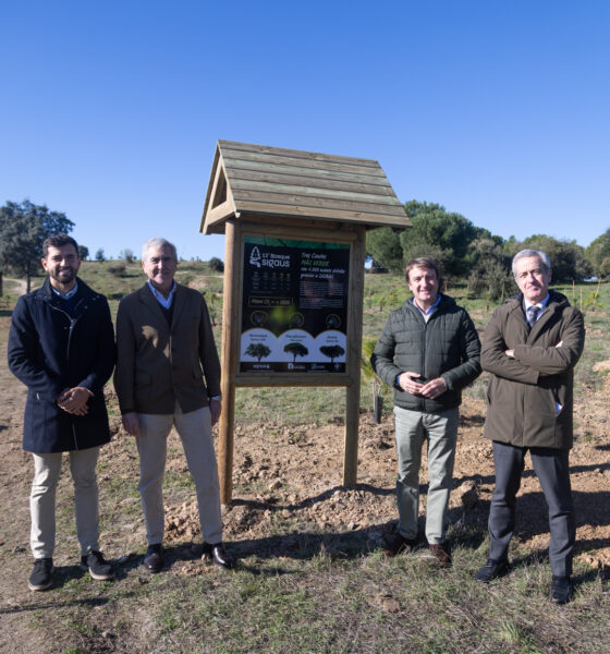 SIGAUS instala un nuevo bosque urbano con 1.000 árboles en Tres Cantos