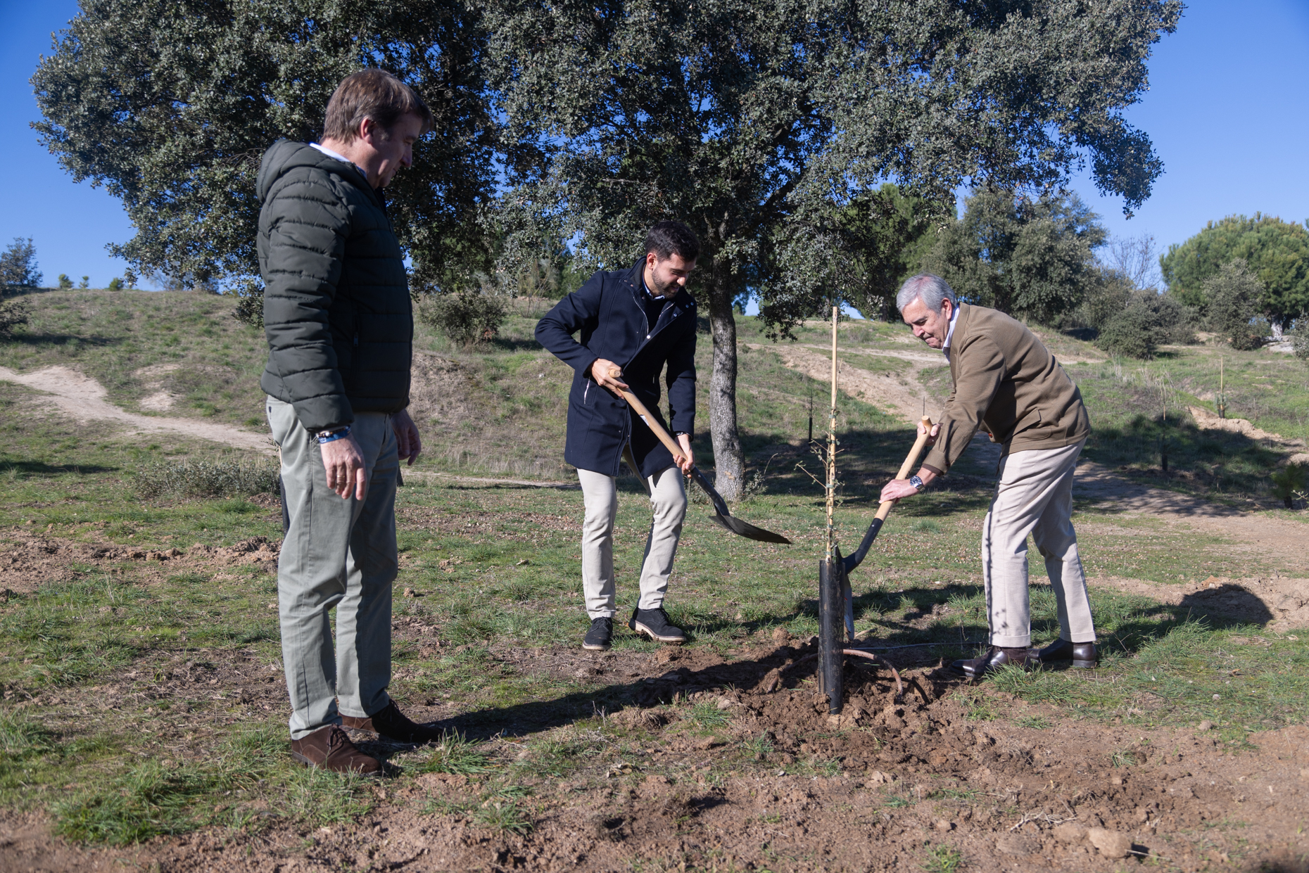 SIGAUS instala un nuevo bosque urbano con 1.000 árboles en Tres Cantos