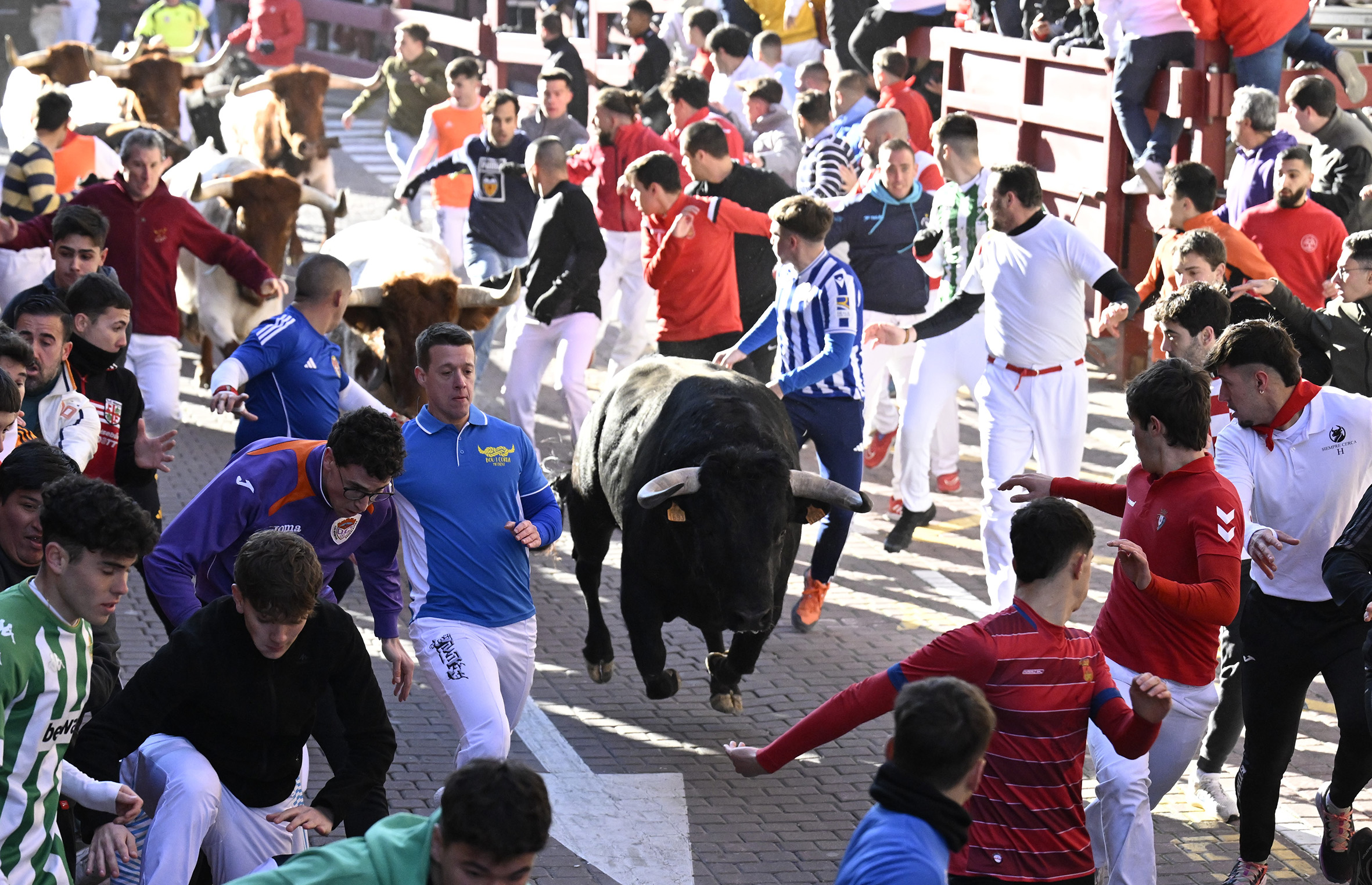 Fiestas San Sebastián Mártir, récord de asistentes y en impacto económico