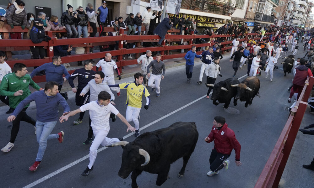 Sanse celebra su primer encierro blanco vistoso, multitudinario y con grandes carreras