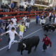 Sanse celebra su primer encierro blanco vistoso, multitudinario y con grandes carreras