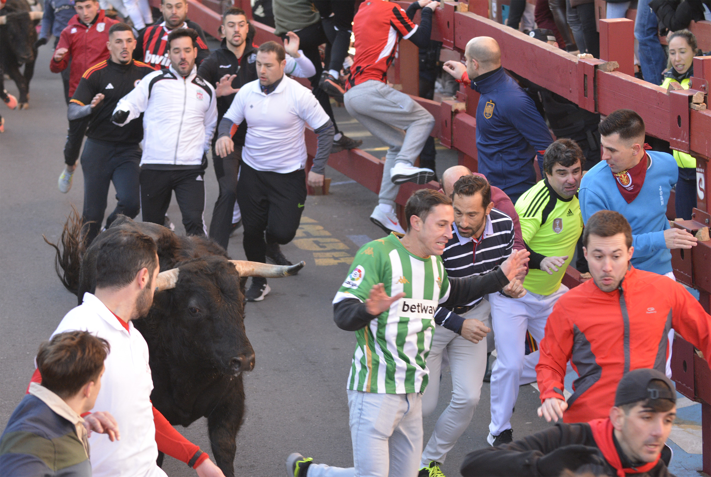 Sanse celebra su primer encierro blanco vistoso, multitudinario y con grandes carreras