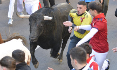 Un herido por asta de toro en un encierro vibrante y espectacular