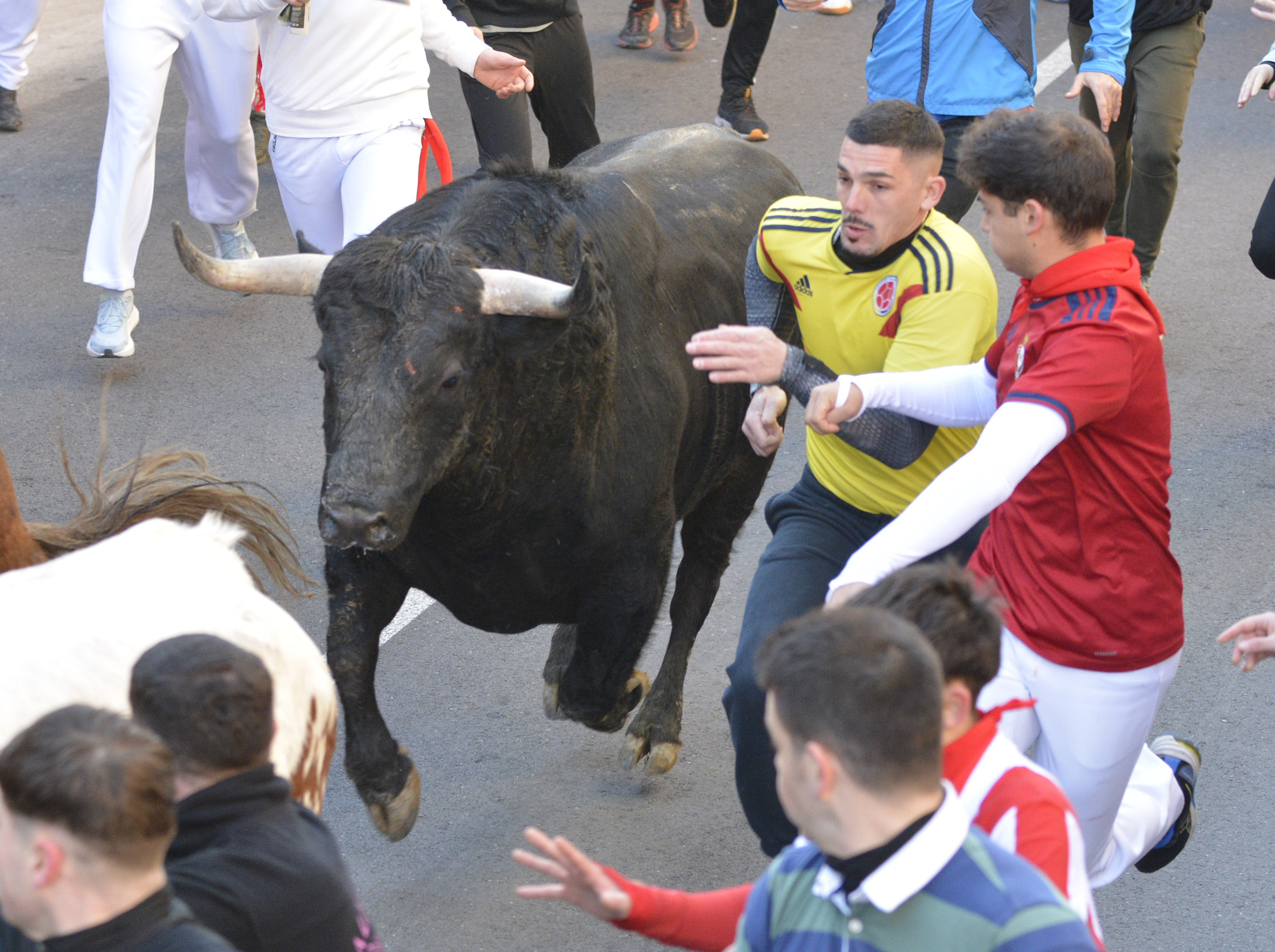 Un herido por asta de toro en un encierro vibrante y espectacular