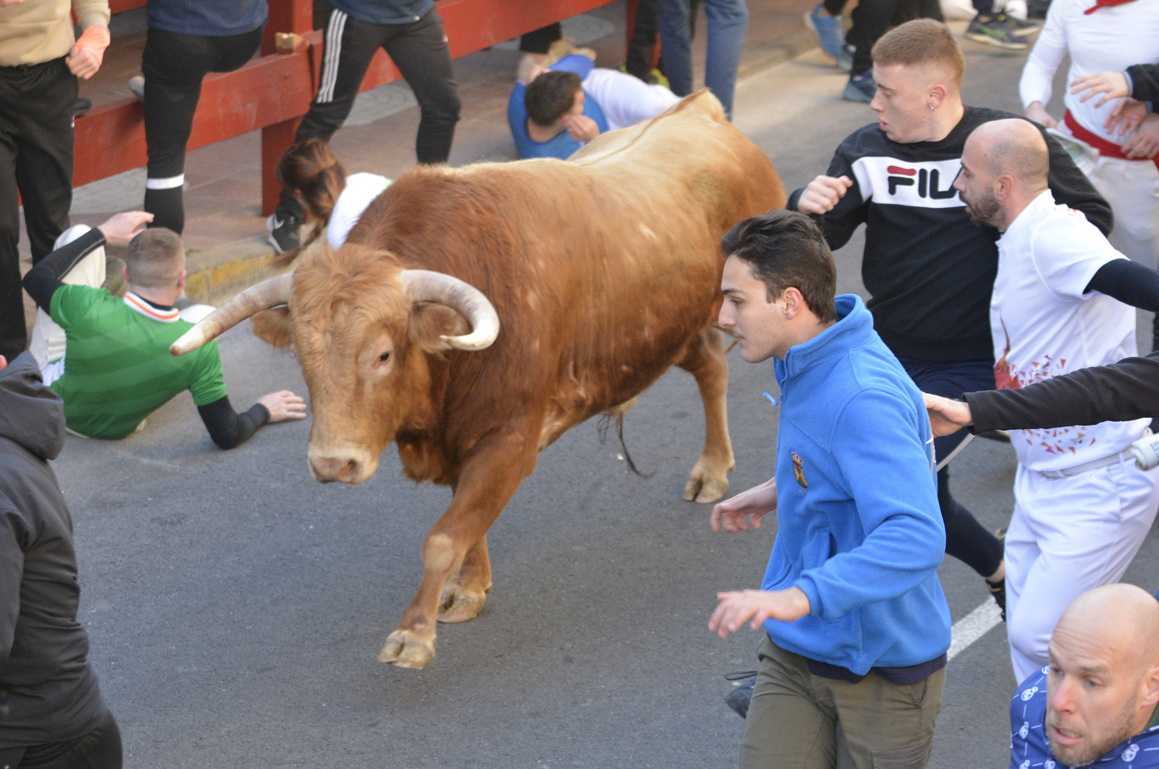 Un herido por asta de toro en un encierro vibrante y espectacular